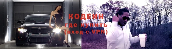 метадон Богданович