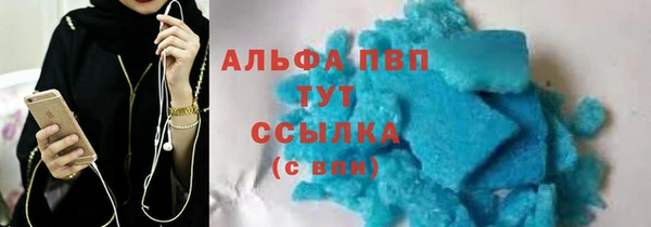 метадон Богданович