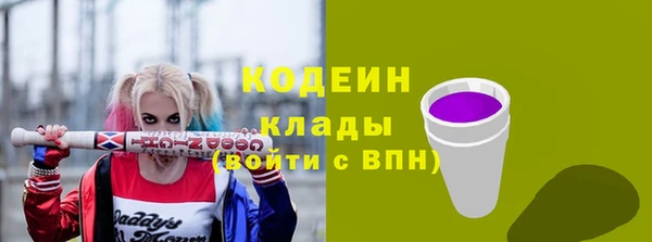 метадон Богданович