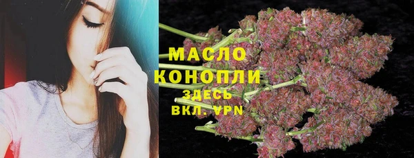 метадон Богданович