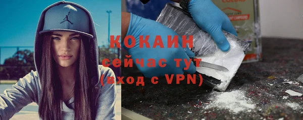 метадон Богданович
