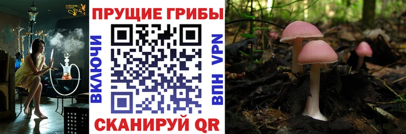 Галлюциногенные грибы мухоморы  Купить где  Райчихинск 